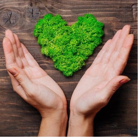 Moss cleans the air of VOCs (volatile organic compounds), dampen voice frequencies and noise, and regulates humidity levels. Research has shown that it can reduce stress, help with focus, and even increase immunity.